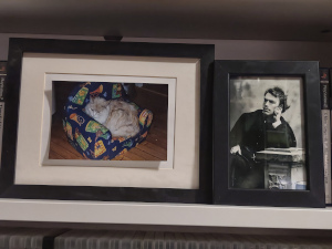Two framed pictures. One of Philipp Mainländer, the other of my deceased cat.