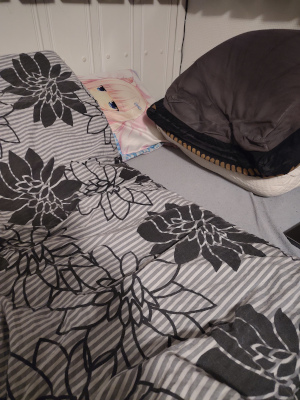 A bed with two pillows, a duvet, and a dakimakura.