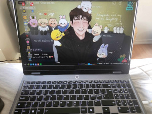 A Lenovo laptop running Linux Mint.