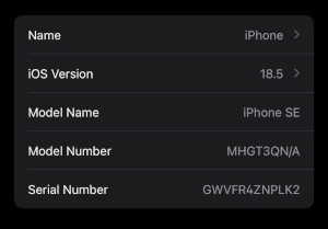 Some basic information about my current phone, an iPhone SE 2 (2020).